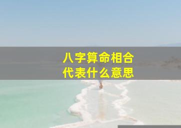 八字算命相合代表什么意思