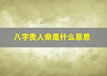 八字贵人命是什么意思