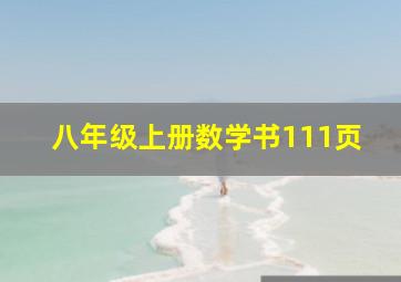 八年级上册数学书111页