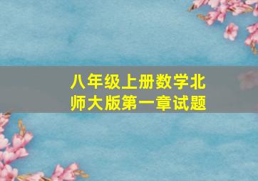 八年级上册数学北师大版第一章试题