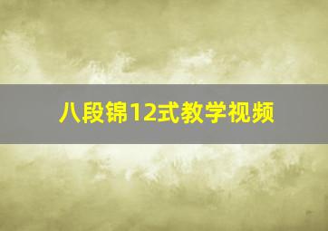 八段锦12式教学视频