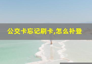 公交卡忘记刷卡,怎么补登