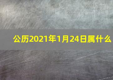 公历2021年1月24日属什么