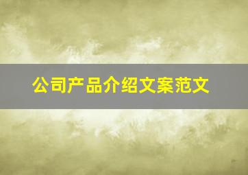 公司产品介绍文案范文