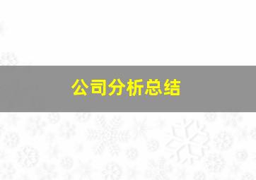 公司分析总结