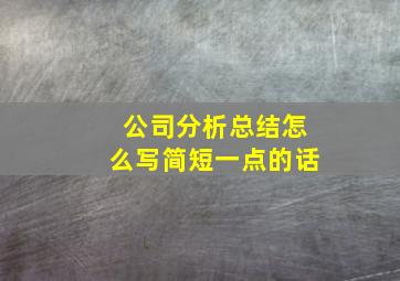 公司分析总结怎么写简短一点的话