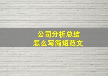 公司分析总结怎么写简短范文