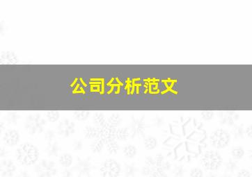 公司分析范文