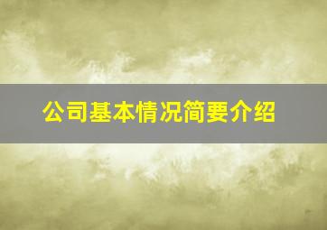 公司基本情况简要介绍