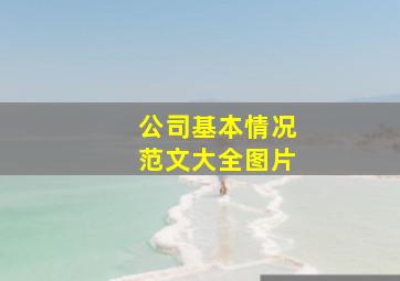 公司基本情况范文大全图片