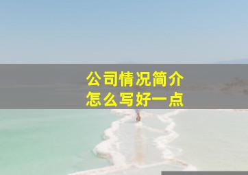 公司情况简介怎么写好一点