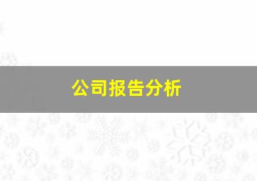 公司报告分析