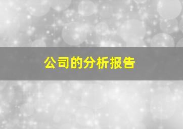 公司的分析报告