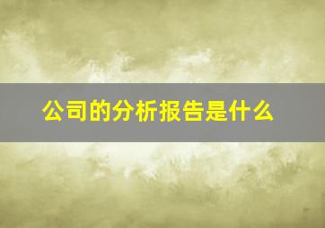 公司的分析报告是什么