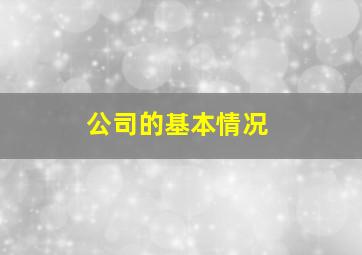 公司的基本情况