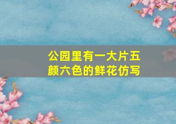 公园里有一大片五颜六色的鲜花仿写