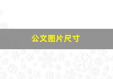 公文图片尺寸