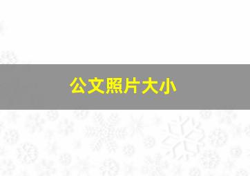 公文照片大小