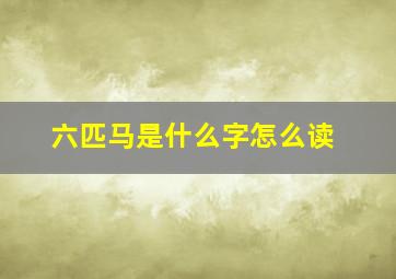 六匹马是什么字怎么读