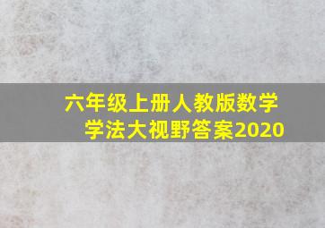 六年级上册人教版数学学法大视野答案2020