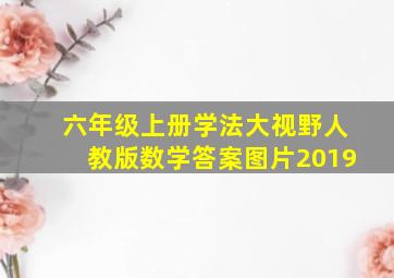 六年级上册学法大视野人教版数学答案图片2019