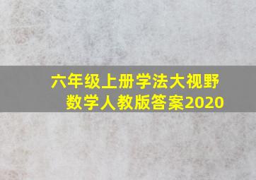 六年级上册学法大视野数学人教版答案2020