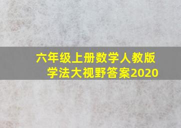 六年级上册数学人教版学法大视野答案2020