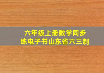 六年级上册数学同步练电子书山东省六三制