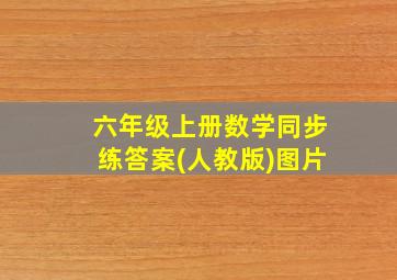 六年级上册数学同步练答案(人教版)图片