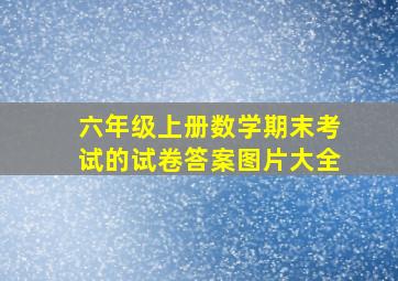 六年级上册数学期末考试的试卷答案图片大全