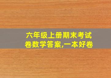 六年级上册期末考试卷数学答案,一本好卷