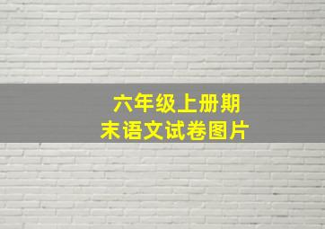 六年级上册期末语文试卷图片