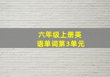 六年级上册英语单词第3单元