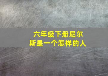 六年级下册尼尔斯是一个怎样的人