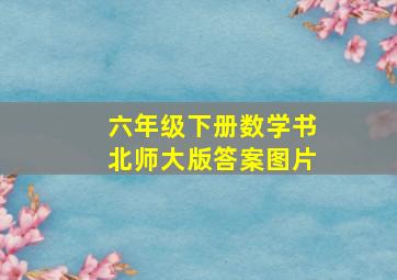 六年级下册数学书北师大版答案图片