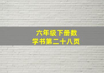 六年级下册数学书第二十八页