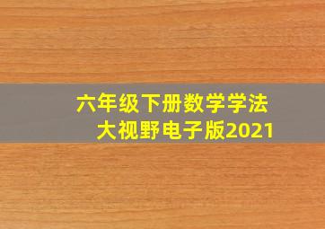 六年级下册数学学法大视野电子版2021