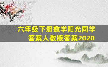 六年级下册数学阳光同学答案人教版答案2020