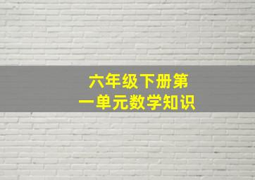 六年级下册第一单元数学知识