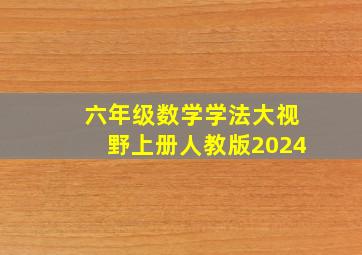 六年级数学学法大视野上册人教版2024