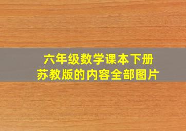 六年级数学课本下册苏教版的内容全部图片