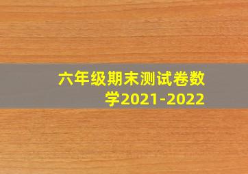 六年级期末测试卷数学2021-2022