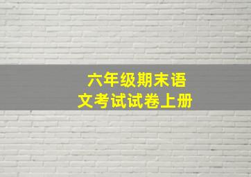 六年级期末语文考试试卷上册