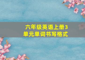 六年级英语上册3单元单词书写格式