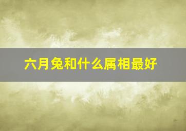 六月兔和什么属相最好