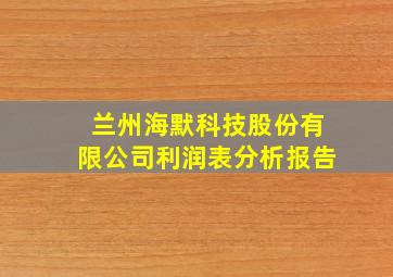 兰州海默科技股份有限公司利润表分析报告