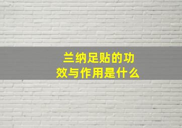 兰纳足贴的功效与作用是什么