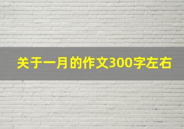 关于一月的作文300字左右