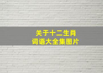 关于十二生肖词语大全集图片