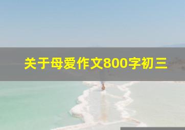 关于母爱作文800字初三